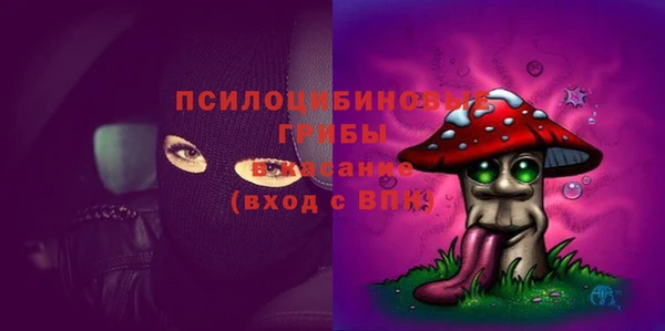 индика Волоколамск